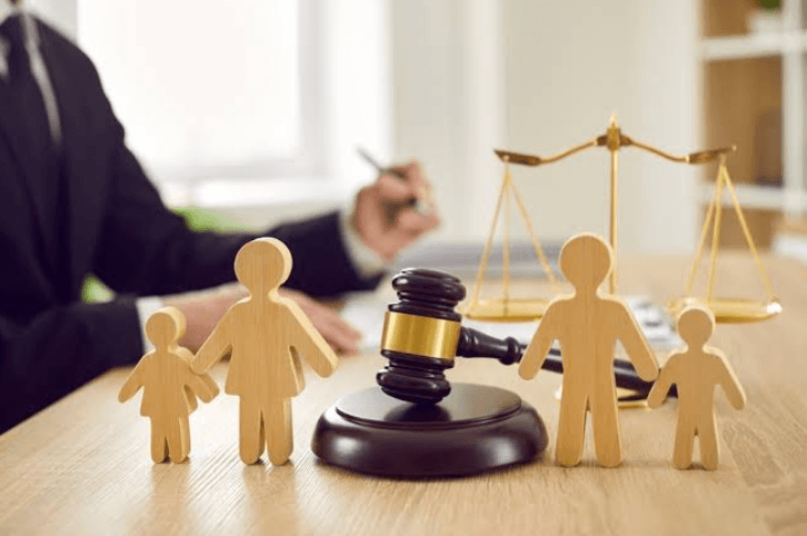 How Family Law Lawyers Can Support Your Case