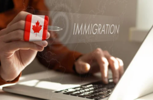 From Confusion to Clarity: The Power of Expert Immigration Law Help