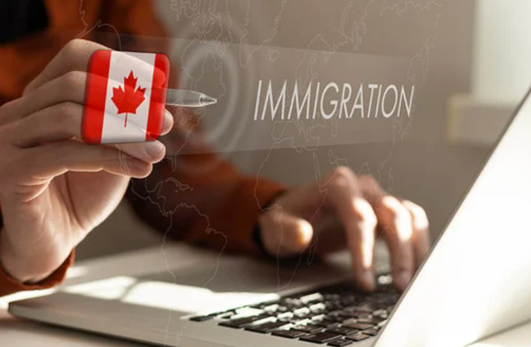 From Confusion to Clarity: The Power of Expert Immigration Law Help